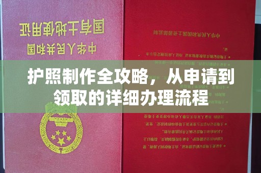 梁山护照制作全攻略，从申请到领取的详细办理流程